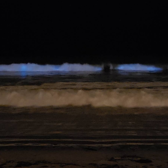 Meet your Posher, Letty - Picture 5 of 5